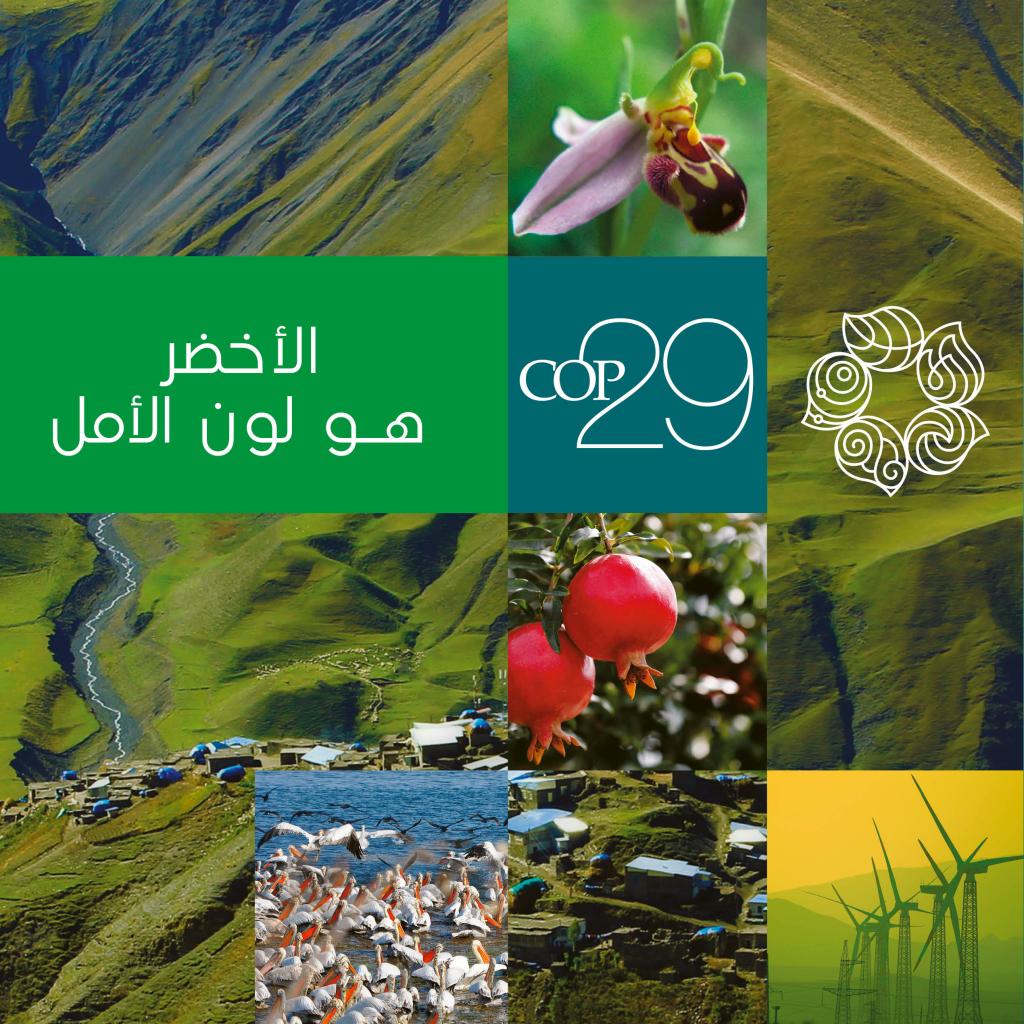 COP29