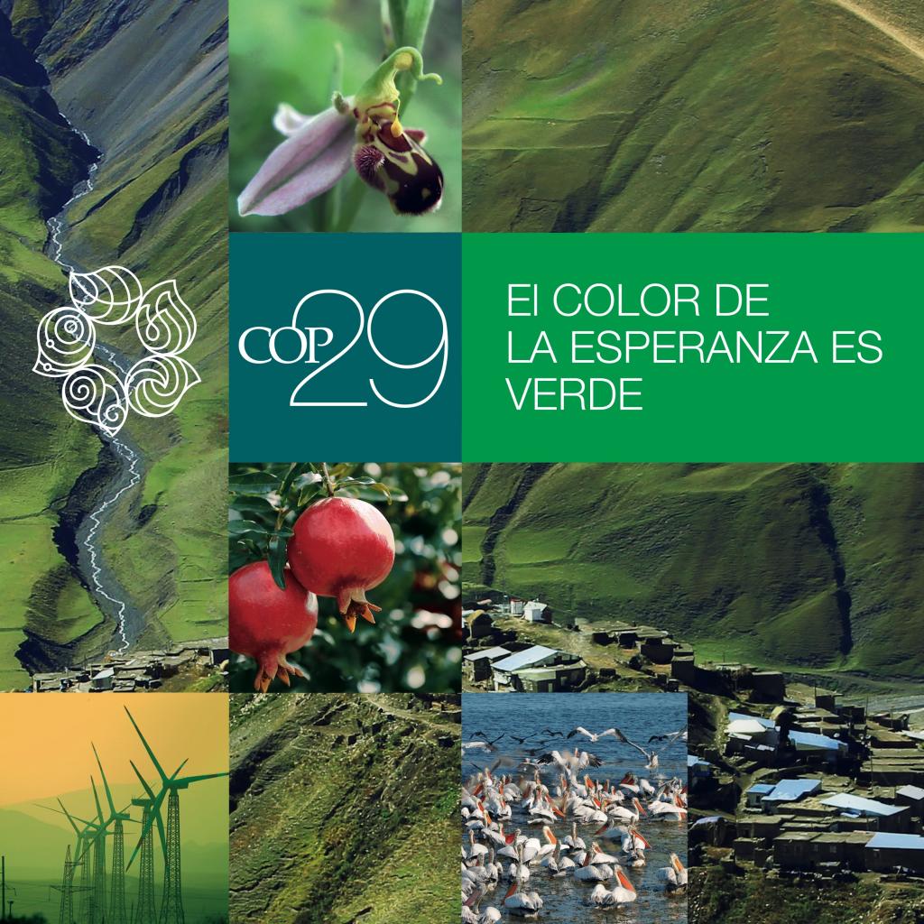 COP29